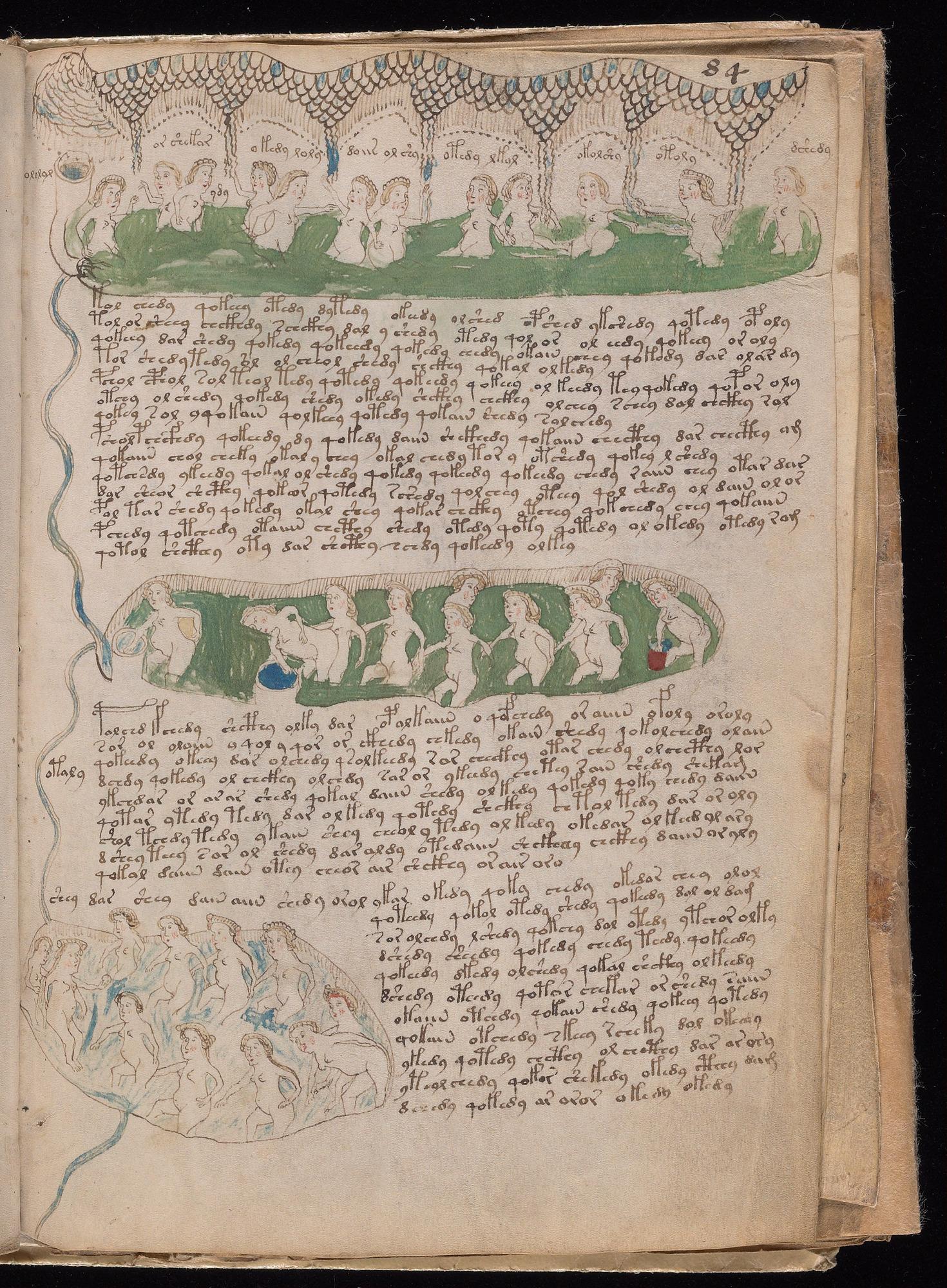 Voynich Manuscript folio f84r — Beinecke MS 408